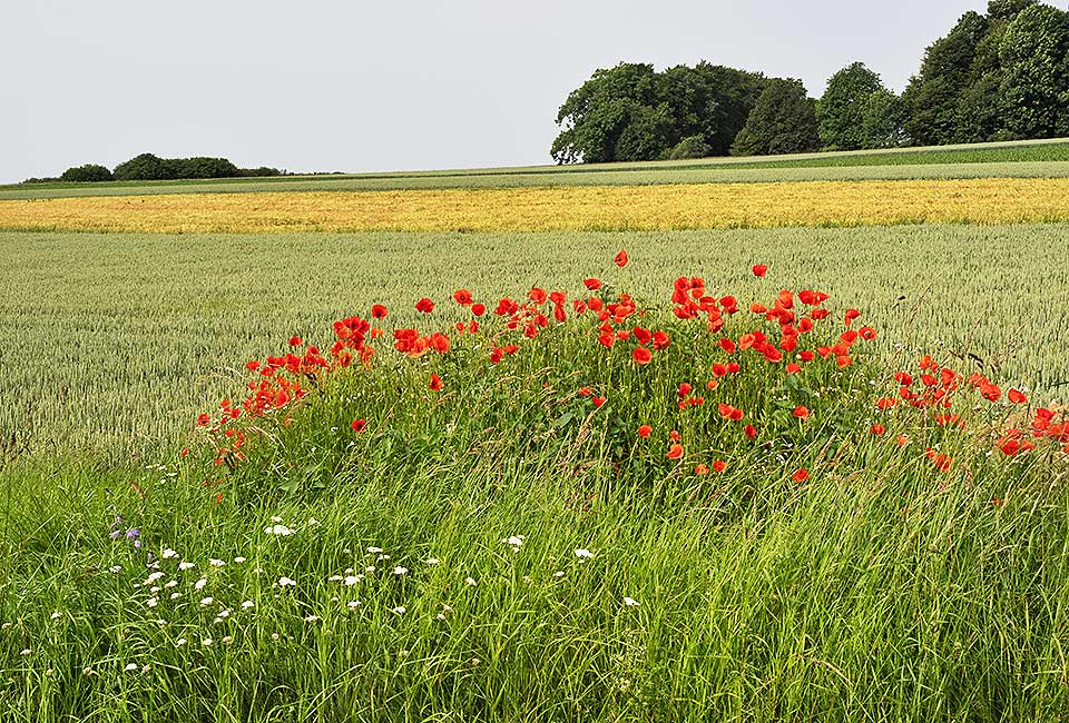 Schöne Landschaft Schöne Landschaft