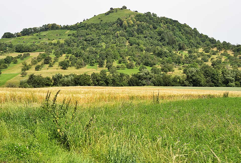 Der Berg Limburg Der Berg Limburg